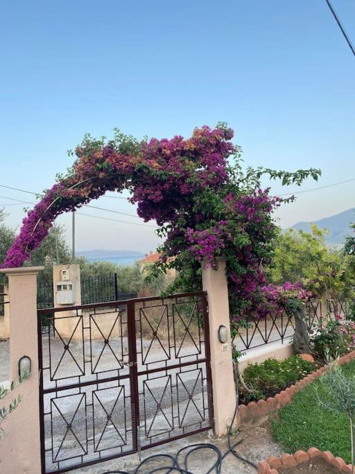 Villa Kastanos *